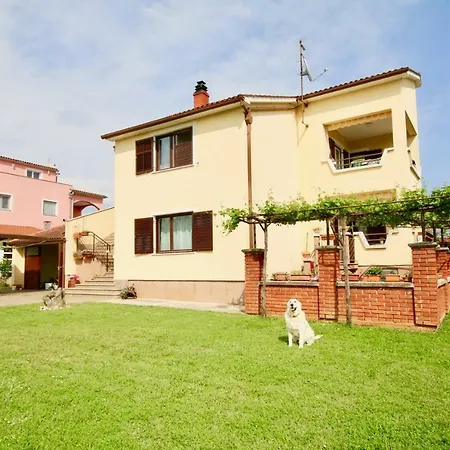 Family With Olive Grove 3*