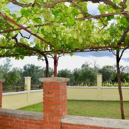Gostinjska kuća Family With Olive Grove 3*