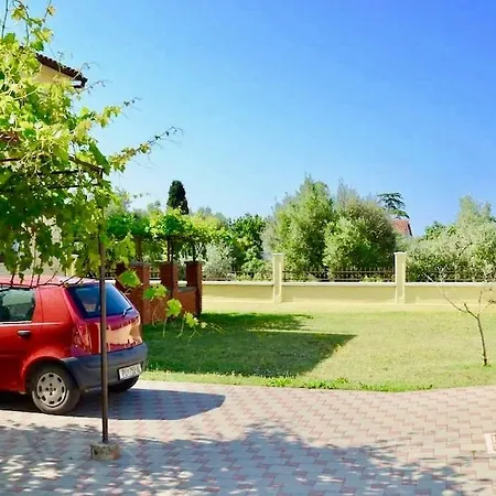 Gostinjska kuća Family With Olive Grove